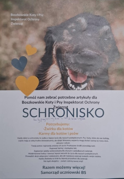 Zbiórka na zwierzaki