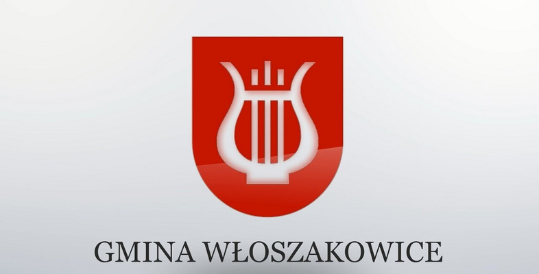 Wybory do Młodzieżowej Rady Gminy Włoszakowice.