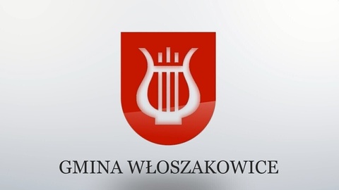 Wybory do Młodzieżowej Rady Gminy Włoszakowice.